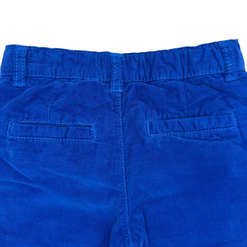 Вельветовi штанці Bluezoo