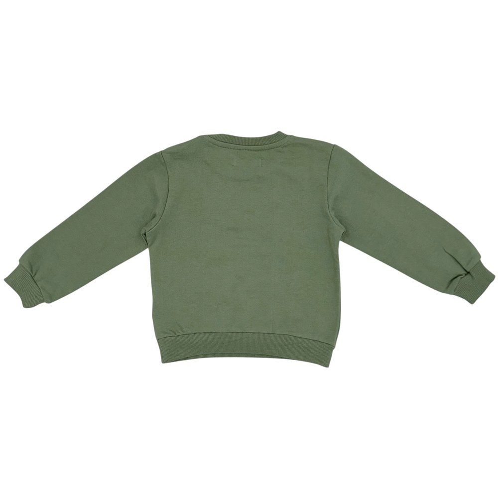 Кофтинка на флісі SinSay