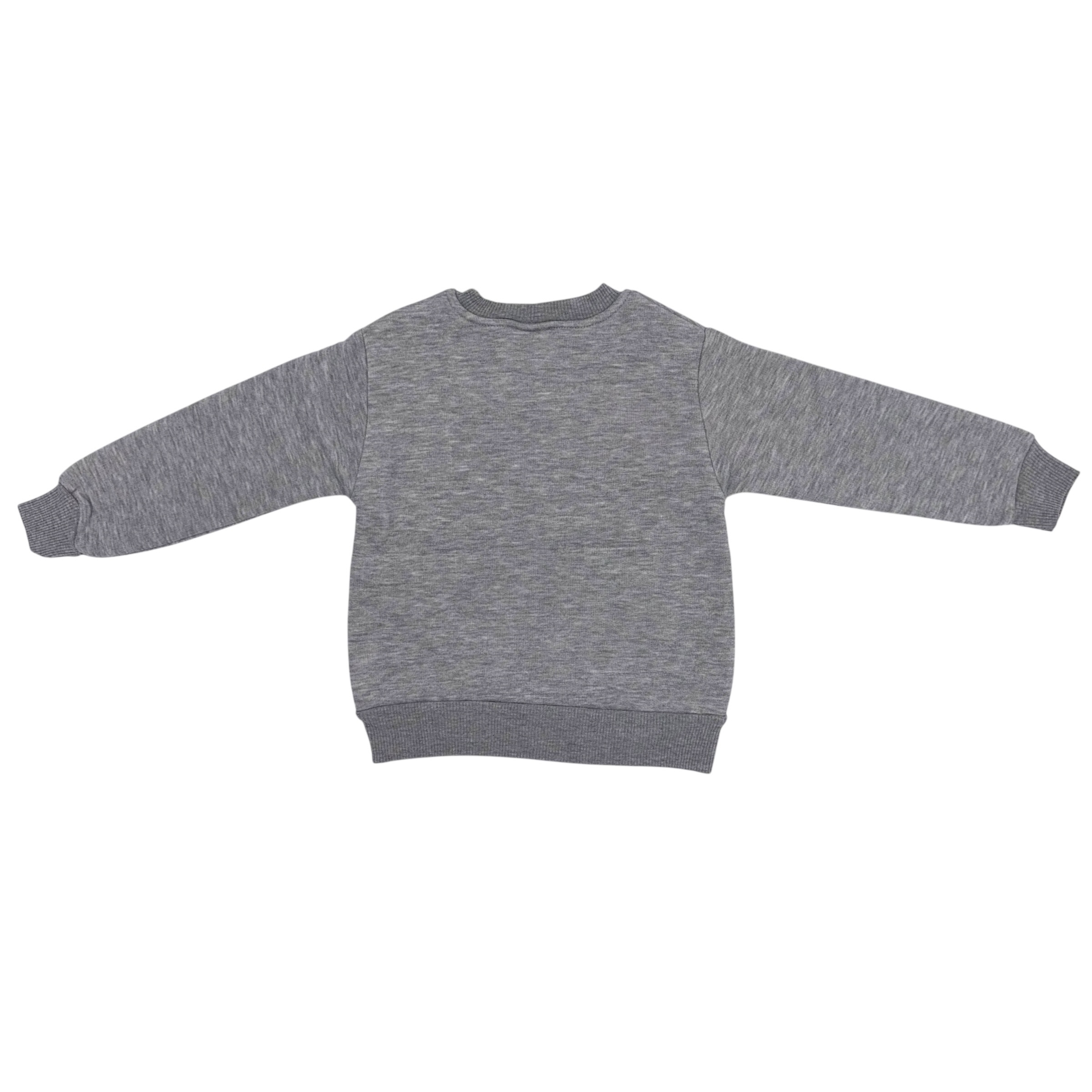 Кофтинка на флісі AKKU