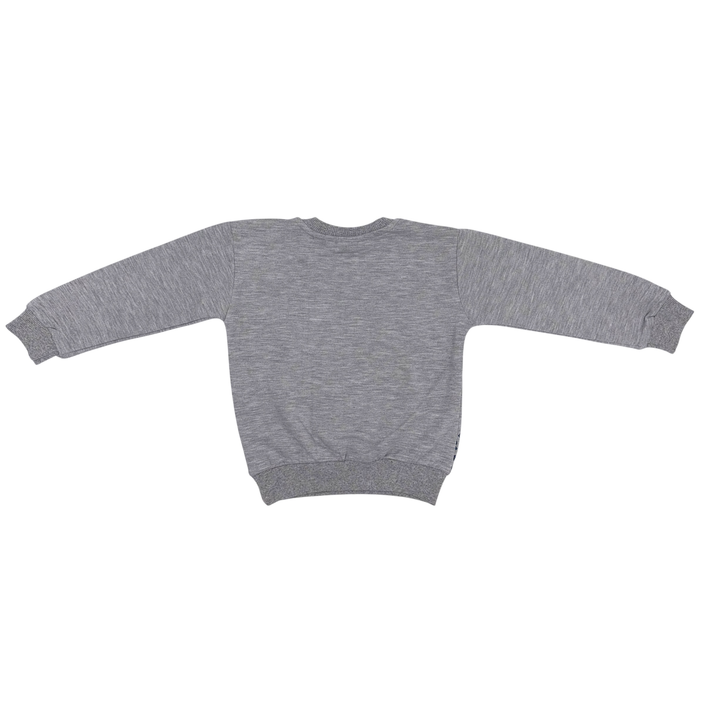 Кофтинка на флісі EMI KIDS